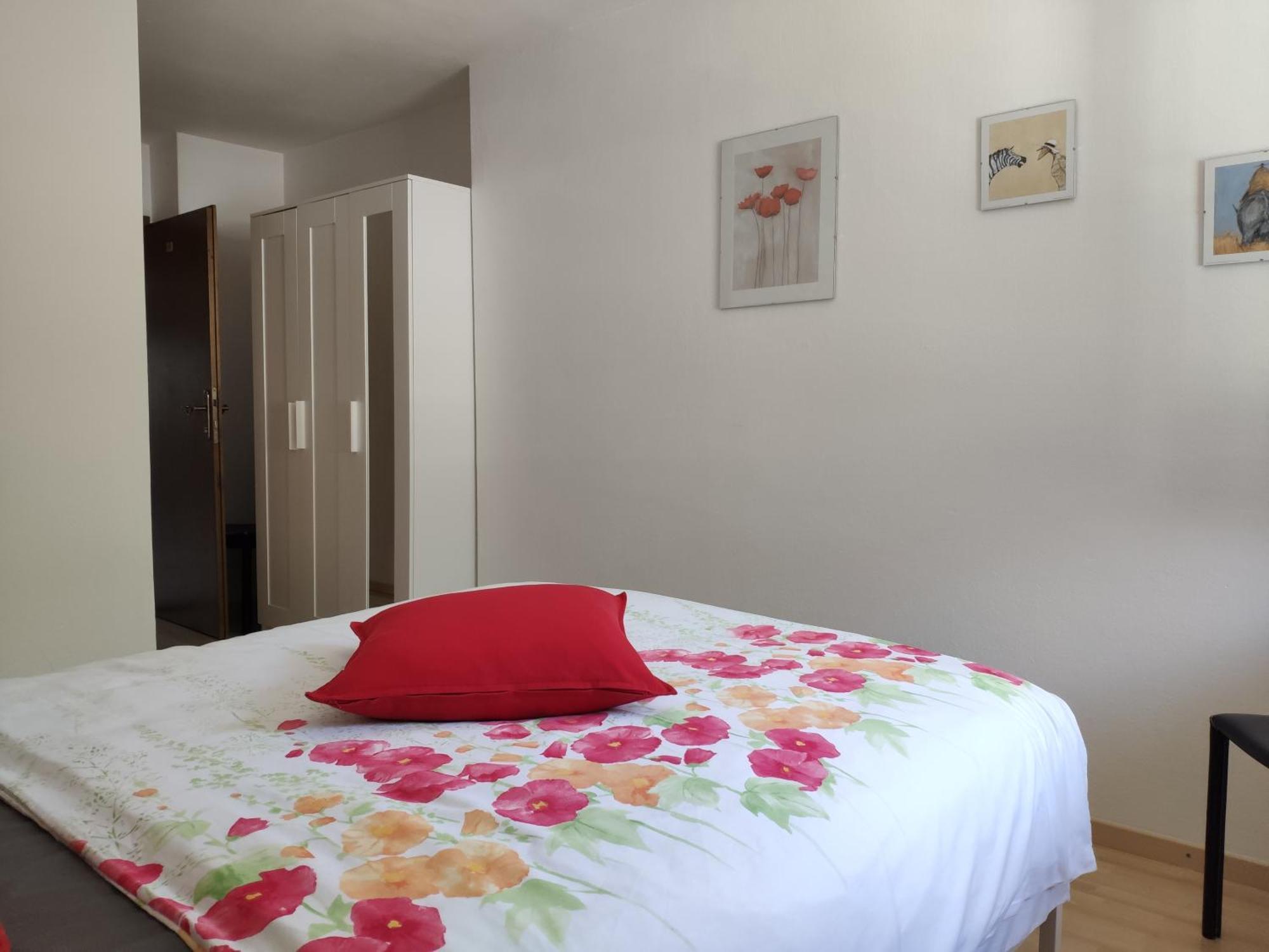 Alpendohle Apartments 因斯布鲁克 外观 照片